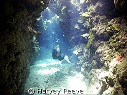 Dolphin House Caves by Harvey Reeve 